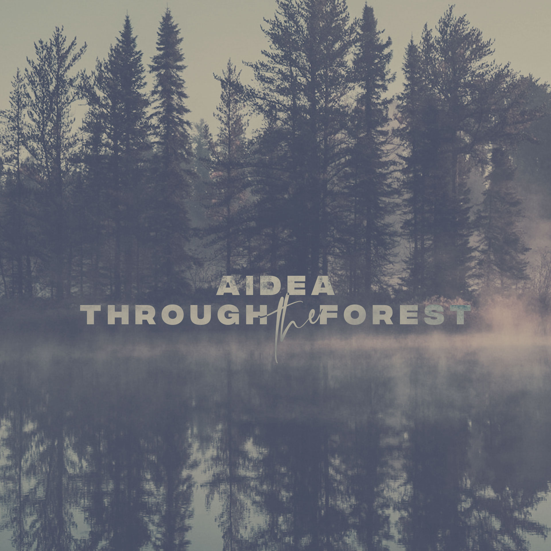 Through the Forest Album